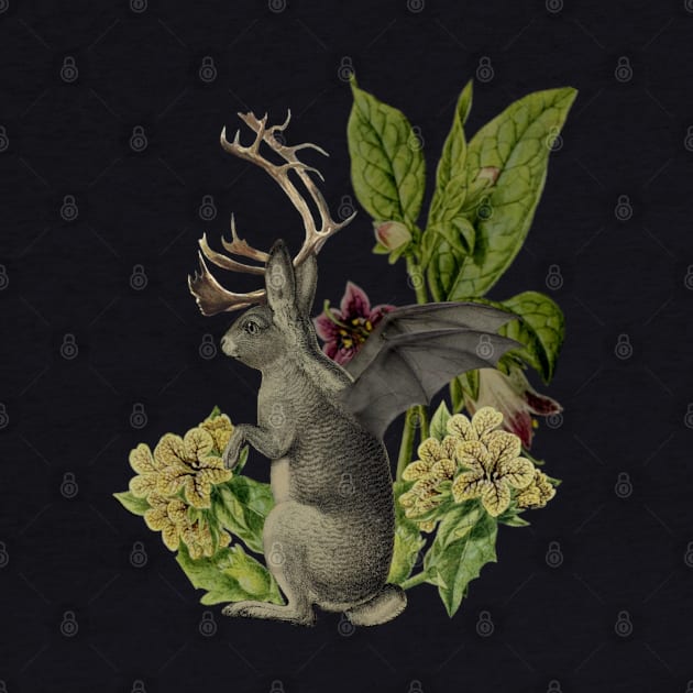 Jackalope Vespertilio by Black Rabbit Curiosities 